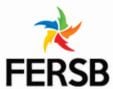FERSB - PS 01
