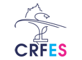 CRF/ES