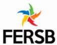 FERSB - PS 02
